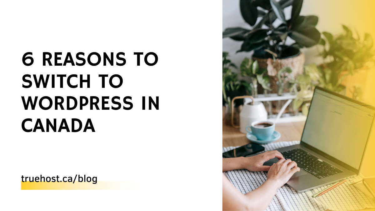 6 Reasons To Switch To WordPress in Canada