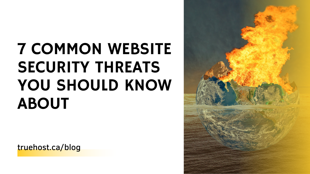 Website Security Threats